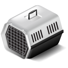 Canned Cat Formula in Salmon